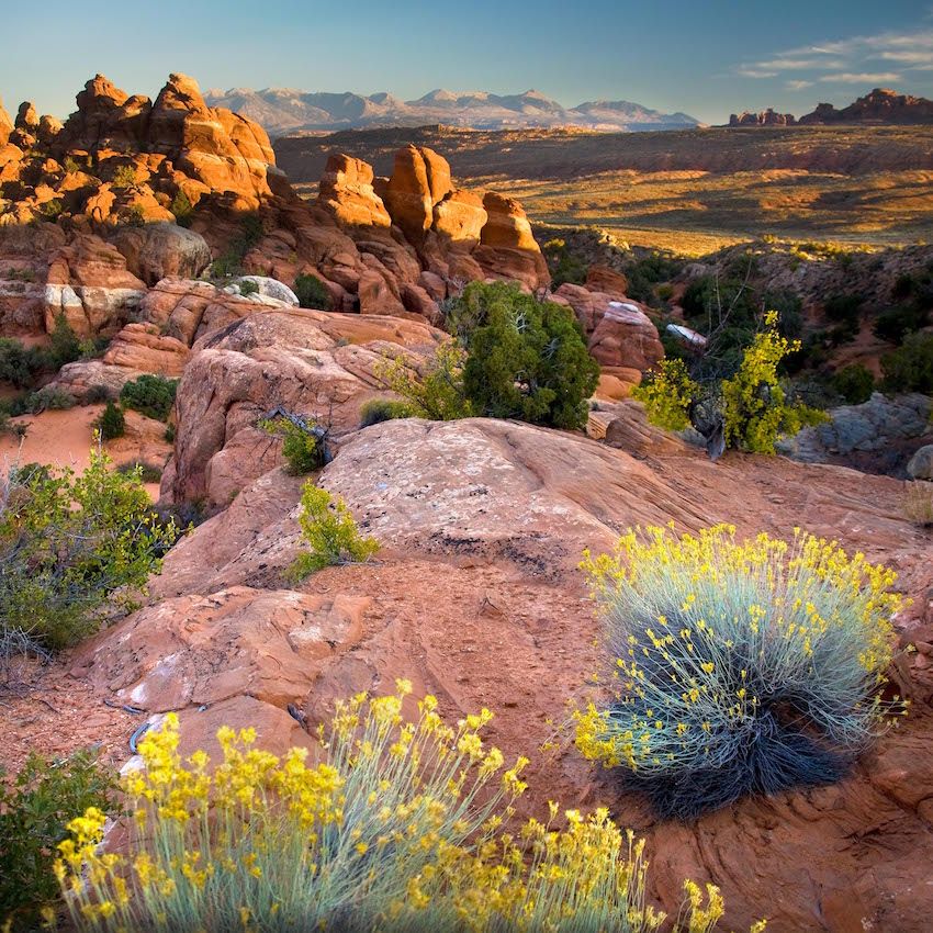 Rough guide. Rough Guides. USA: the rough Guide