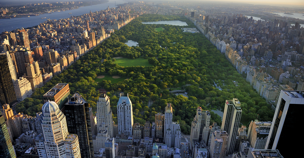 Can You Understand New York Lingo?