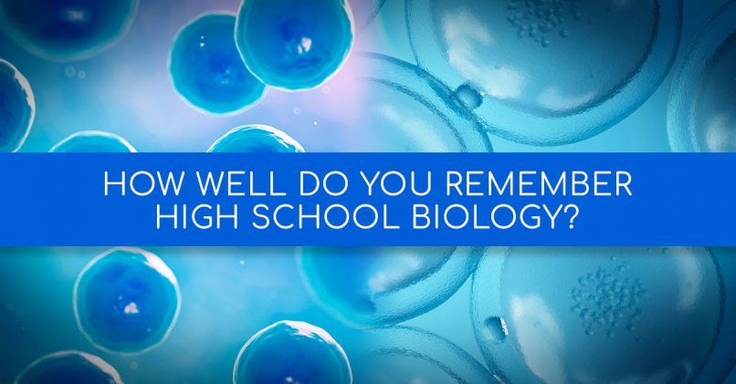 How Well Do You Remember High School Biology? | MagiQuiz
