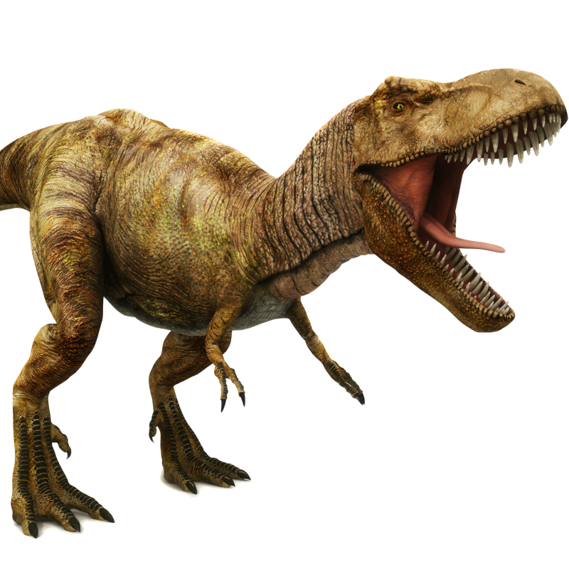 dinosaur ka dinosaur dinosaur dinosaur