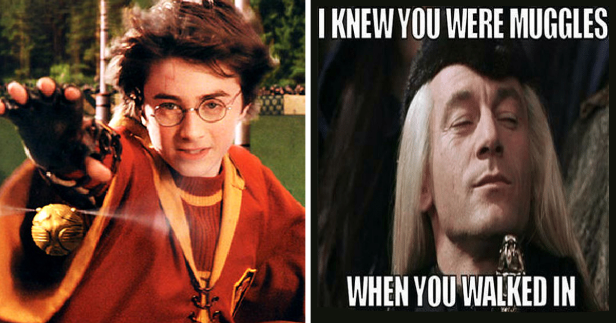 23 Magical Harry Potter Memes for Wizards and Muggles Alike - Geek